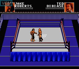 In-game screen of the game WWF WrestleMania - Steel Cage Challenge on Nintendo NES
