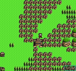 In-game screen of the game Taro's Quest on Nintendo NES