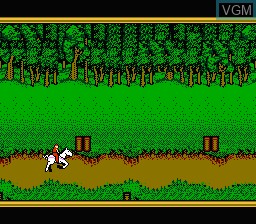 In-game screen of the game Advanced Dungeons & Dragons - Hillsfar on Nintendo NES