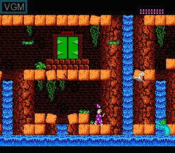 In-game screen of the game Castle of Deceit on Nintendo NES