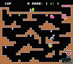 In-game screen of the game Chack'n Pop on Nintendo NES