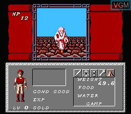 In-game screen of the game Dungeon Magic - Sword of the Elements on Nintendo NES