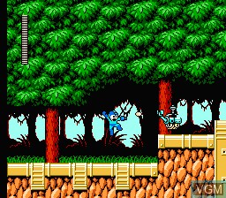In-game screen of the game Mega Man 6 on Nintendo NES