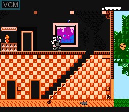 In-game screen of the game Pesterminator - The Western Exterminator on Nintendo NES