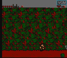 In-game screen of the game Secret Scout in the Temple of Demise on Nintendo NES