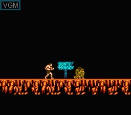 In-game screen of the game Werewolf - The Last Warrior on Nintendo NES