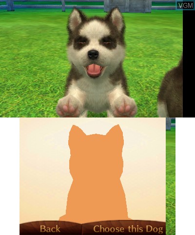 Menu screen of the game Nintendogs + Cats - French Bulldog & New Friends on Nintendo 3DS