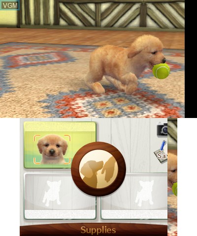 In-game screen of the game Nintendogs + Cats - Golden Retriever & New Friends on Nintendo 3DS