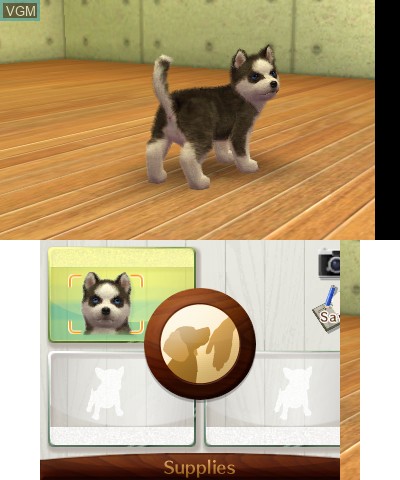In-game screen of the game Nintendogs + Cats - French Bulldog & New Friends on Nintendo 3DS