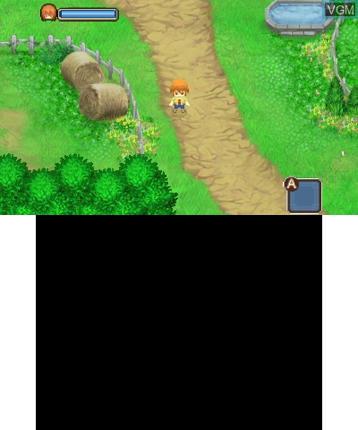 Harvest Moon 3D - The Tale of Two Towns
