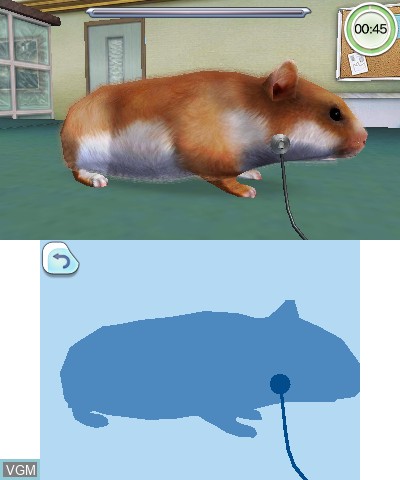 In-game screen of the game Animal Hospital on Nintendo 3DS