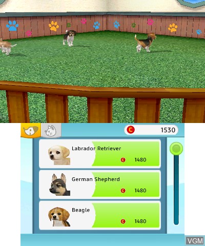 In-game screen of the game Petz Countryside on Nintendo 3DS