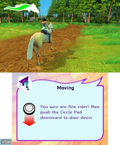 Horses 3D
