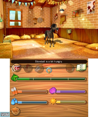 In-game screen of the game 2in1 Horses 3D - My Foal 3D + My Riding Stables 3D - Rivals in the Saddle on Nintendo 3DS