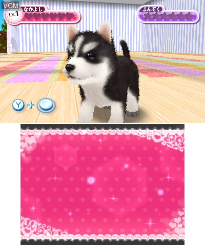 In-game screen of the game Oshare na Koinu 3D on Nintendo 3DS
