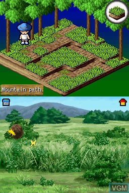 In-game screen of the game Simple DS Series Vol. 3 - The Mushitori Oukoku - Shinshu Hakken! Nokogiri Kabuto!? on Nintendo DS