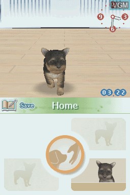 In-game screen of the game Nintendogs - Chihuahua & Friends on Nintendo DS
