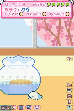 In-game screen of the game Mame Goma - Honobono Nikki on Nintendo DS