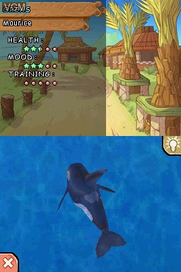Abenteuer auf der Delfininsel