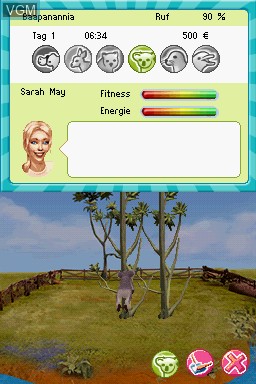 In-game screen of the game Meine Tierklinik in Australien on Nintendo DS