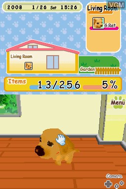 In-game screen of the game Petz - Dogz 2 on Nintendo DS