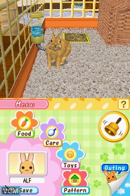 In-game screen of the game Bunnyz on Nintendo DS