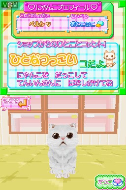 In-game screen of the game Kawaii Koneko DS on Nintendo DS