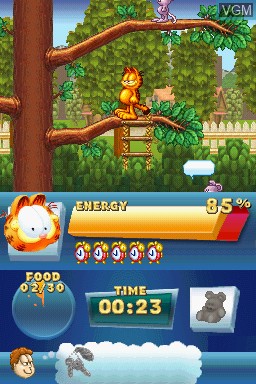 In-game screen of the game Garfield's Fun Fest on Nintendo DS