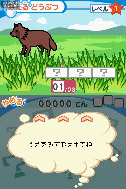 In-game screen of the game New Unou Kids DS on Nintendo DS