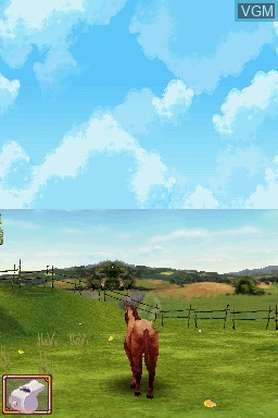 In-game screen of the game Ellen Whitaker's Horse Life on Nintendo DS