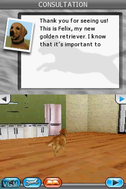 In-game screen of the game My Dog Coach - Understand Your Dog with Cesar Millan on Nintendo DS