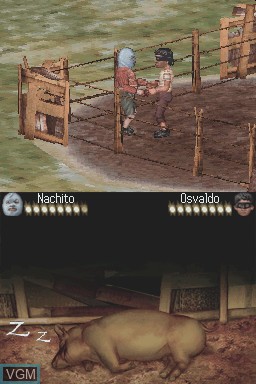 In-game screen of the game Nacho Libre on Nintendo DS