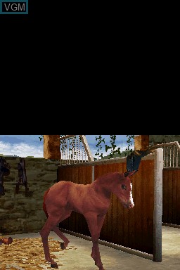 In-game screen of the game Horse Life Adventures on Nintendo DS