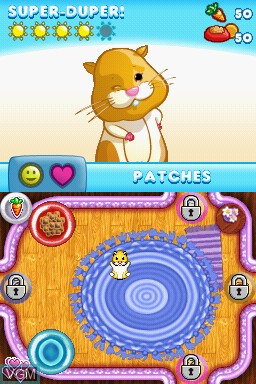 In-game screen of the game ZhuZhu Pets on Nintendo DS