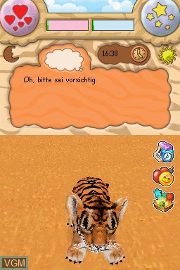 In-game screen of the game Baby Wildkatzen on Nintendo DS