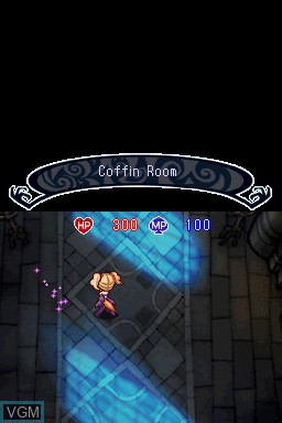 In-game screen of the game Witch's Tale, A on Nintendo DS