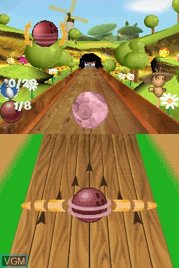In-game screen of the game Squeeballs Party on Nintendo DS