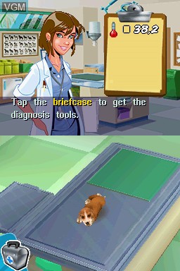 In-game screen of the game Imagine - Rescue Vet on Nintendo DS