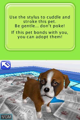 In-game screen of the game Petz - Fashion Stars on Nintendo DS