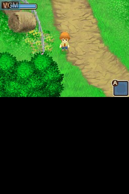 In-game screen of the game Bokujou Monogatari - Futago no Mura on Nintendo DS