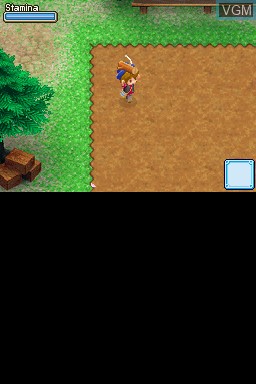 In-game screen of the game Harvest Moon DS - Grand Bazaar on Nintendo DS