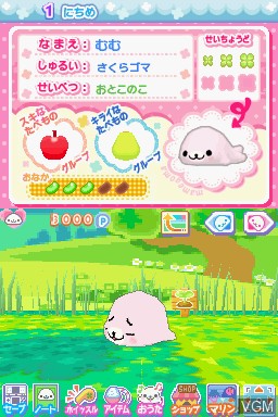 In-game screen of the game Mame Goma 3 - Kawaii ga Ippai on Nintendo DS