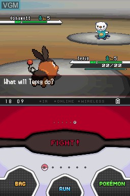 In-game screen of the game Pokemon White Version on Nintendo DS