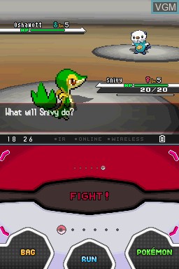 In-game screen of the game Pokemon Black Version on Nintendo DS