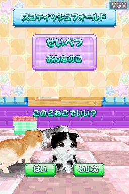 In-game screen of the game Kawaii Koneko DS 3 on Nintendo DS