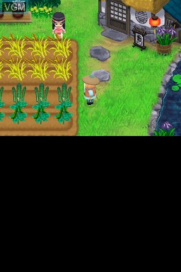 In-game screen of the game Harvest Moon DS - The Tale of Two Towns on Nintendo DS