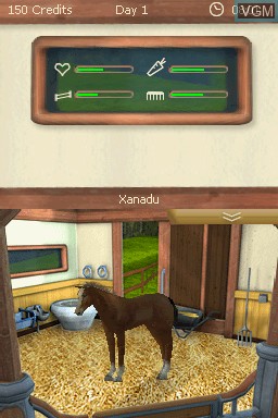 In-game screen of the game 2 in 1 - My Pet School + Best Friends - My Horse on Nintendo DS