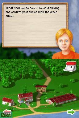 In-game screen of the game Dreamer Series - Horse Trainer on Nintendo DS