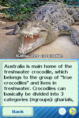 In-game screen of the game Animal Life - Australia on Nintendo DS