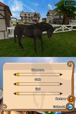 In-game screen of the game 3 in 1 - My Riding Stables - Life with Horses + My Pet Hotel 2 & + My Pet School on Nintendo DS